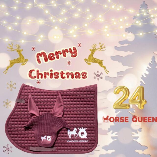 Frohe Weihnachten allerseits ! ❤️

Zur Feier des Tages gibt es natürlich wieder ein ganz besonderes Gewinnspiel! 🤩
Zu gewinnen gibt es ein Set der Marke Eskadron powered by @horse_queen_stickerei_belousek , bestehend aus Schabracke und Fliegenhaube in der Farbe schwarz! 🥰

Wie sehr würdet ihr euch denn darüber freuen, dieses Set zu gewinnen? 😍 
Alle Teilnahmebedingungen findet ihr in unserer Story! 
Viel Glück 🤞🏼🎄

*Symbolbild, das Set gibt es in der Farbe schwarz zu gewinnen! 😊

GEWINNSPIEL BEENDET!!!

.
.
.
.
.
#equestrian #horsesofinstagram #bettertogether #dressage #showjumping #horsephotograpy #asventskalender #adventskalender2022 #equitation #warmblood #horseriding #goforaride #oneteamonevision #teamworkmakesthedreamwork #sportpferdeteamroubal #gewinnspiel #verlosung #gewinn #pferdegewinnspiel #pferdegewinn #verlosung2022