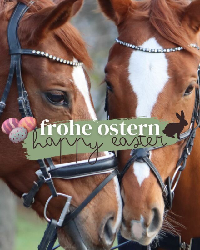 🌼 H A P P Y • E A S T E R 🐣

Wir wünschen euch allen frohe Ostern! 
Genießt die Zeit mit euren Liebsten 🥰 

.

.
.
.
.
#equestrian #horsesofinstagram #bettertogether #dressage #showjumping #horsephotograpy #asventskalender #equitation #warmblood #horseriding #goforaride #oneteamonevision #teamworkmakesthedreamwork #sportpferdeteamroubal